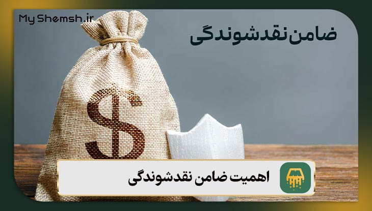 اهمیت ضامن نقدشوندگی