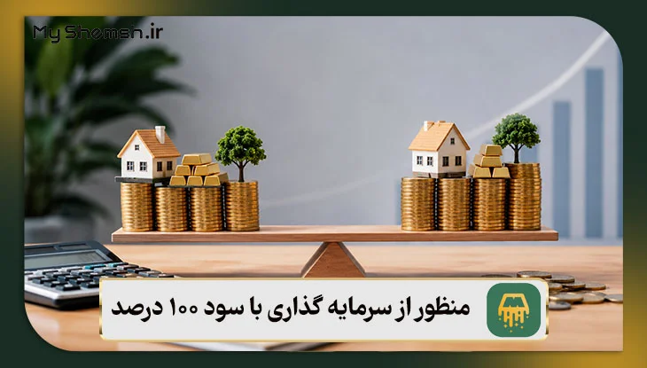 منظور از سرمایه‌ گذاری با سود 100 درصد چیست؟