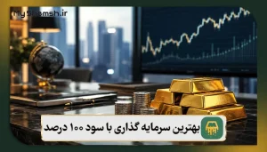 بهترین سرمایه‌ گذاری با سود 100 درصد | معرفی سودآورترین راه