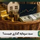 سبد سرمایه گذاری چیست؟ انواع، مراحل و 4 اشتباه رایج آن